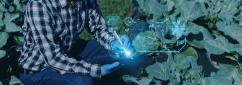 5G and IoT enabling smart, connected agriculture systems