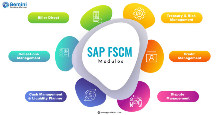 Types of SAP FSCM modules